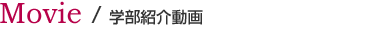 Movie／学部紹介動画